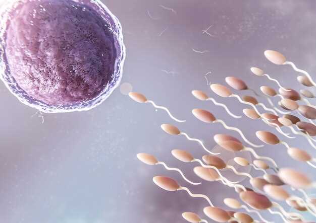 Формирование корпускулярного образования яйцеклетки
