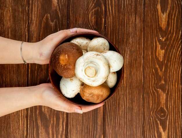 Влияние микроорганизмов на наше здоровье: грибы в кишечнике