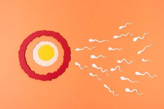 Маленькие кисты яичников: ничего страшного или потенциальная угроза?